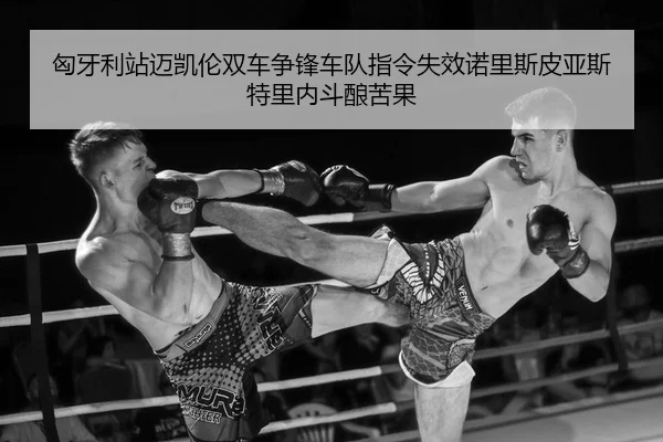 xiong-ya-li-zhan-mai-kai-lun-shuang-che-zheng-feng-che-dui-zhi-ling-shi-xiao-nuo-li-si-pi-ya-si-te-li-nei-dou-niang-ku-2-366.jpg