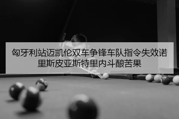 匈牙利站迈凯伦双车争锋车队指令失效诺里斯皮亚斯特里内斗酿苦果